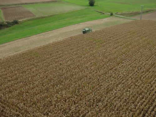 Click on the photo for the original