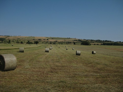 Click on the photo for the original