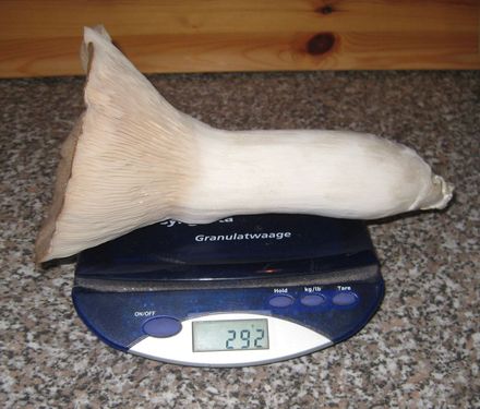 Click on the photo for the original