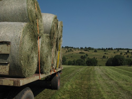 Click on the photo for the original