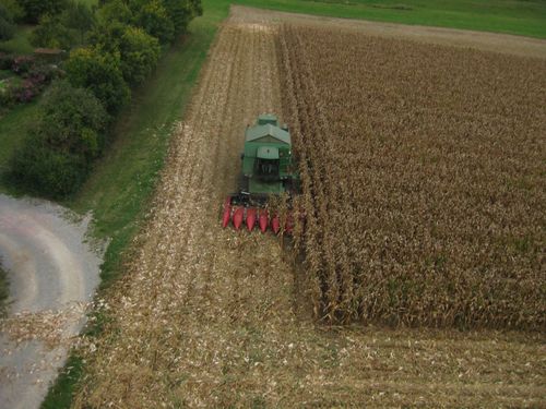 Click on the photo for the original