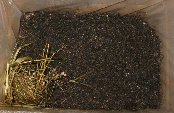 Click on the photo for the original