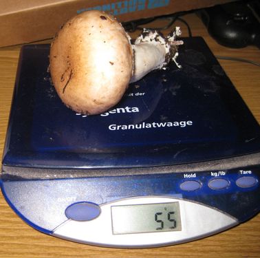 Click on the photo for the original