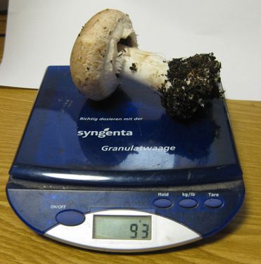 Click on the photo for the original