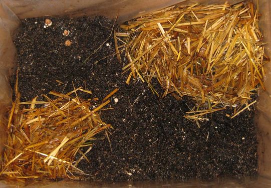 Click on the photo for the original