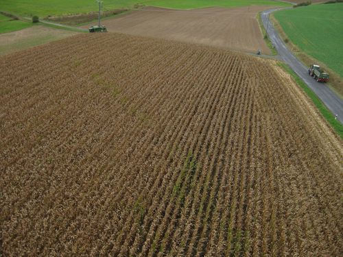 Click on the photo for the original