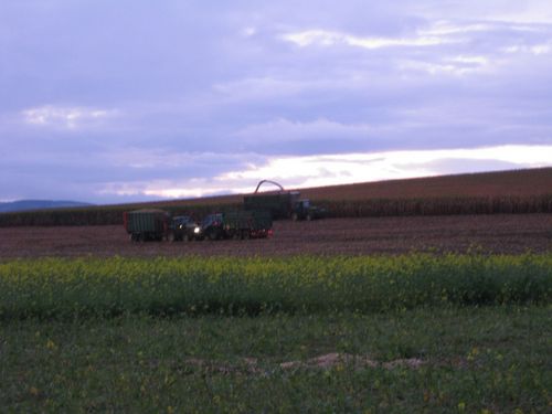 Click on the photo for the original