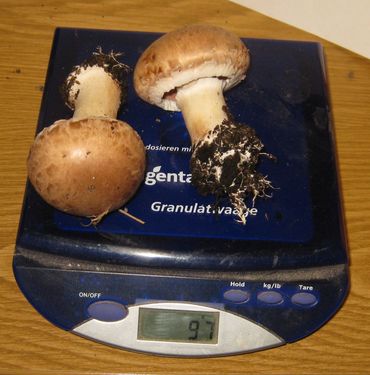 Click on the photo for the original