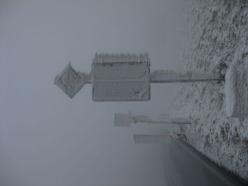 Click on the photo for the original