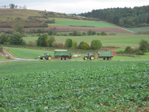 Click on the photo for the original