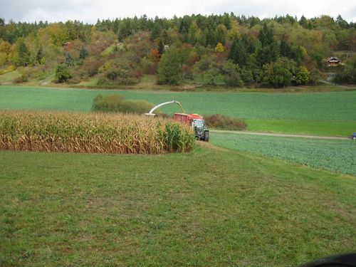 Click on the photo for the original