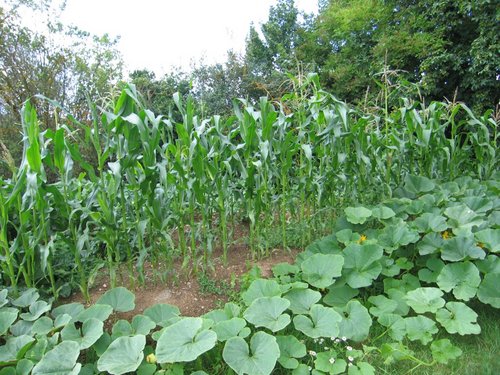 Click on the photo for the original