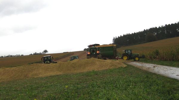 Click on the photo for the original