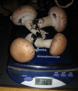 Click on the photo for the original