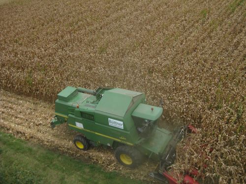 Click on the photo for the original