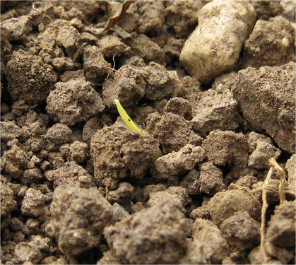 Click on the photo for the original