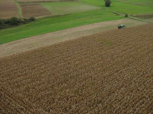 Click on the photo for the original