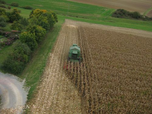 Click on the photo for the original