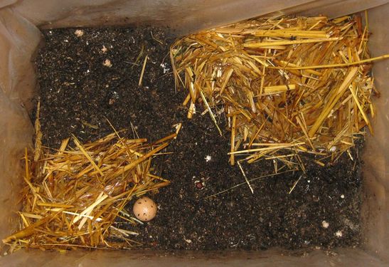 Click on the photo for the original