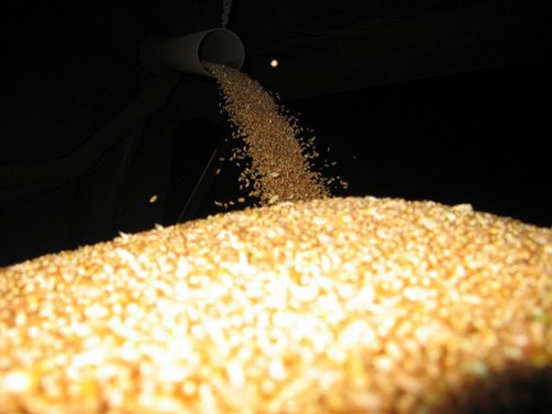 Click on the photo for the original